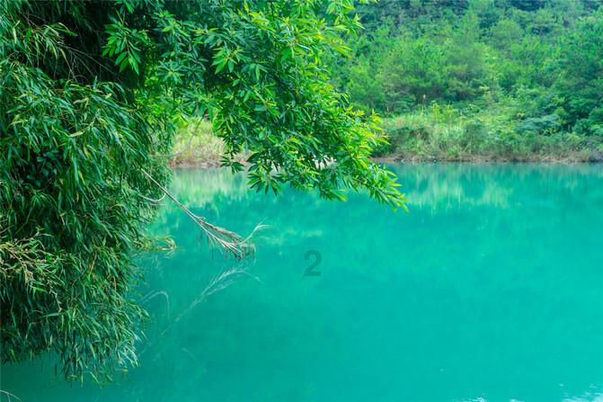 除虫大师