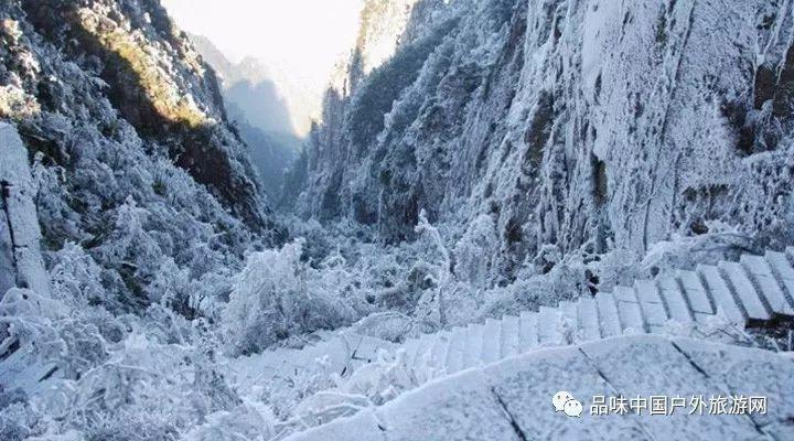 东北种植什么果树赚钱？游戏画面